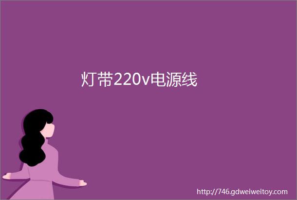 灯带220v电源线