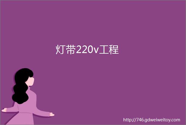 灯带220v工程