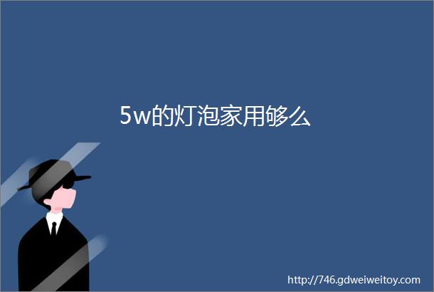 5w的灯泡家用够么